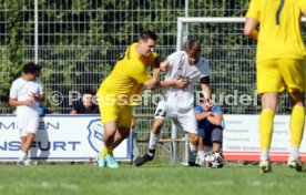 23.08.26 TSV Ph&ouml;nix Steinsfurt - SV Tiefenbach