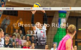 29.10.25 Allianz MTV Stuttgart - Dresdner SC