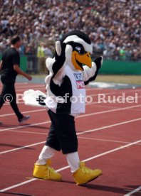 SSV Ulm 1846 - Eintracht Frankfurt