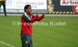 FSV Zwickau - VfB Stuttgart