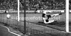 VfB Stuttgart - 1. FC K&ouml;ln