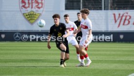 08.03.26 U19 VfB Stuttgart - U19 1. FC K&ouml;ln