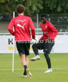 VfB Stuttgart Training