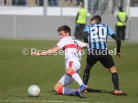 VFB Stuttgart II-SV Waldhof Mannheim