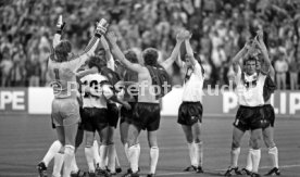 17.06.88 Deutschland - Spanien
