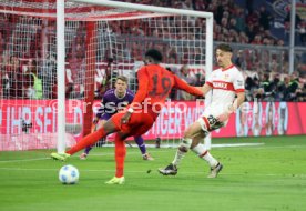 19.10.24 FC Bayern M&uuml;nchen - VfB Stuttgart