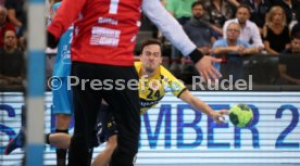 TVB Stuttgart - Rhein-Neckar L&ouml;wen