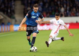 TSG 1899 Hoffenheim - Hamburger SV