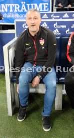 FC Schalke 04 - VfB Stuttgart