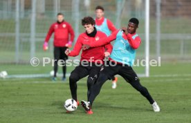 VfB Stuttgart Training
