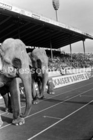 02.11.91 VfB Stuttgart - Stuttgarter Kickers
