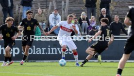 08.03.26 U19 VfB Stuttgart - U19 1. FC K&ouml;ln