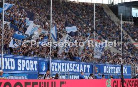 12.04.25 TSG 1899 Hoffenheim - 1. FSV Mainz 05