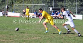 23.08.26 TSV Ph&ouml;nix Steinsfurt - SV Tiefenbach