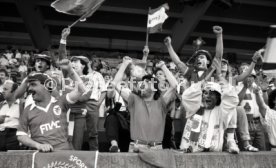 25.05.88 PSV Eindhoven - Benfica Lissabon