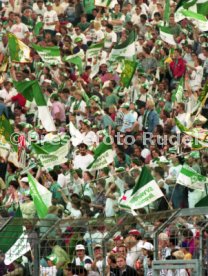 05.06.1993 VfB Stuttgart - SV Werder Bremen