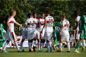 VfB Stuttgart - SpVgg Greuther F&uuml;rth