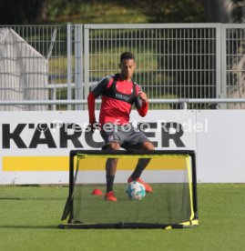 VfB Stuttgart Training