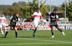 21.09.24 U19 VfB Stuttgart - U19 SV Elversberg