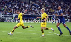 29.09.23 TSG 1899 Hoffenheim - Borussia Dortmund