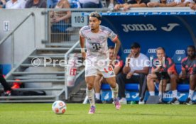 20.09.25 TSG 1899 Hoffenheim - FC Bayern M&uuml;nchen