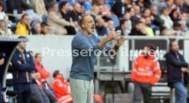 21.10.23 TSG 1899 Hoffenheim - Eintracht Frankfurt
