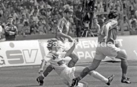 05.06.1993 VfB Stuttgart - SV Werder Bremen