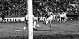 VfB Stuttgart - 1. FC K&ouml;ln