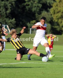 22.07.23 VfB Stuttgart - Vitesse Arnheim