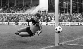 Heidenheimer SB - Hertha BSC Berlin