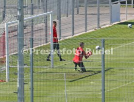 VfB Stuttgart Training