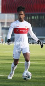 VfB Stuttgart - SG Dynamo Dresden