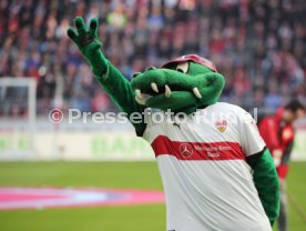 VfB Stuttgart - FC Schalke 04