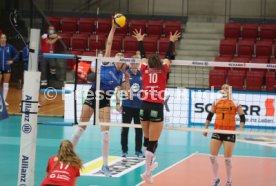 24.02.21 Allianz MTV Stuttgart - Dredsner SC
