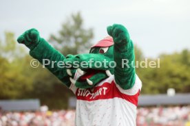 12.08.23 TSG Balingen - VfB Stuttgart