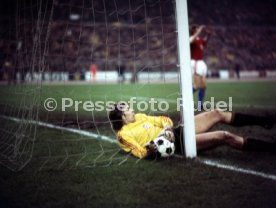 17.11.76 Deutschland - Tschechoslowakei