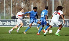 04.02.23 U19 VfB Stuttgart - U19 TSG 1899 Hoffenheim