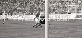 05.06.1993 VfB Stuttgart - SV Werder Bremen