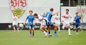 14.09.24 U17 VfB Stuttgart - U17 TSG 1899 Hoffenheim