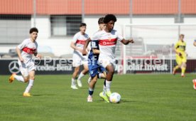 06.04.24 U17 VfB Stuttgart - U17 TSG 1899 Hoffenheim