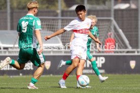 10.08.25 U19 VfB Stuttgart - U19 SpVgg Greuther Fürth