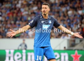 TSG 1899 Hoffenheim - FC Liverpool