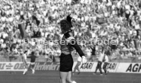DFB-Pokal Finale 1987 Hamburger SV - Stuttgarter Kickers