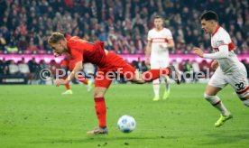 19.10.24 FC Bayern M&uuml;nchen - VfB Stuttgart