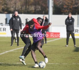 VfB Stuttgart Training