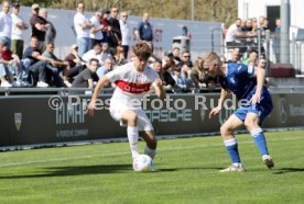 06.04.24 U17 VfB Stuttgart - U17 TSG 1899 Hoffenheim