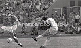 05.06.1993 VfB Stuttgart - SV Werder Bremen