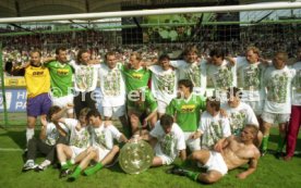 05.06.1993 VfB Stuttgart - SV Werder Bremen