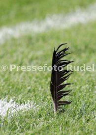 Fussball WM 2006