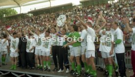 05.06.1993 VfB Stuttgart - SV Werder Bremen